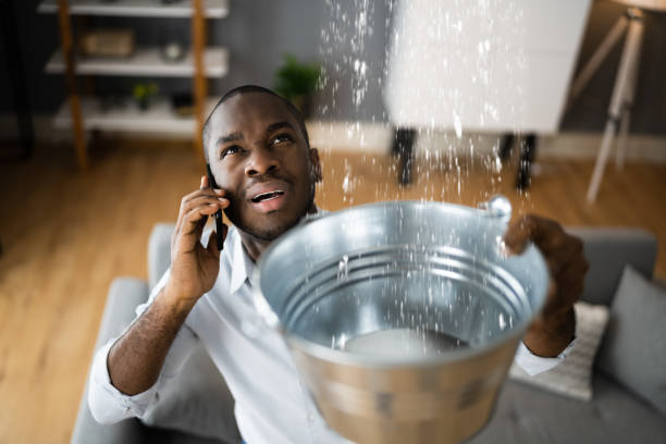 Best Local water damage restoration  in Elkhart, TX