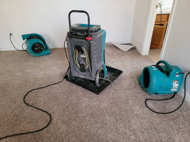 Best Professional water damage repair  in Elkhart, TX