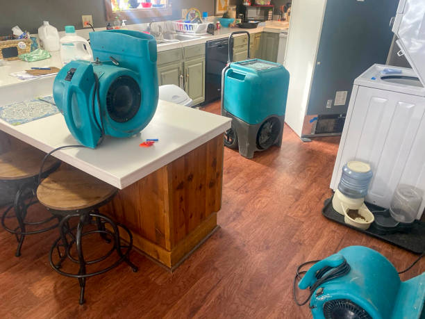 Best 24/7 water damage repair  in Elkhart, TX