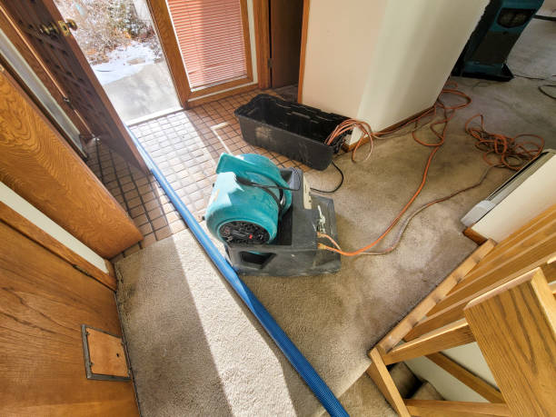 Professional Water damage restoration in Elkhart, TX