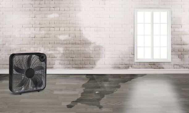 Best Water damage restoration cost  in Elkhart, TX
