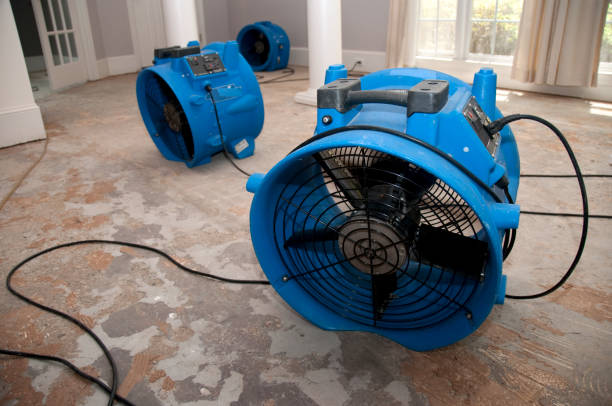Water damage restoration insurance claims in Elkhart, TX